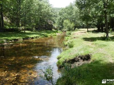 ierra del Rincón_Río Jarama; asociaciones san sebastian de los reyes chorrera de san mamés la silla 